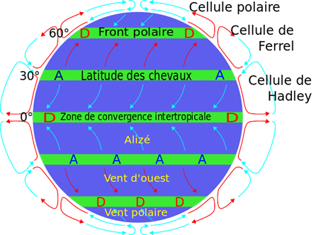 https://upload.wikimedia.org/wikipedia/commons/thumb/b/ba/Atmospheric_circulation-fr.svg/602px-Atmospheric_circulation-fr.svg.png